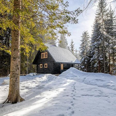 Cosy Lodge Pokljuka Goreljek Zewnętrze zdjęcie