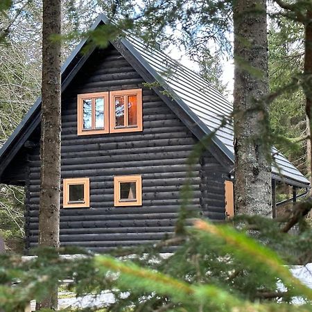 Cosy Lodge Pokljuka Goreljek Zewnętrze zdjęcie