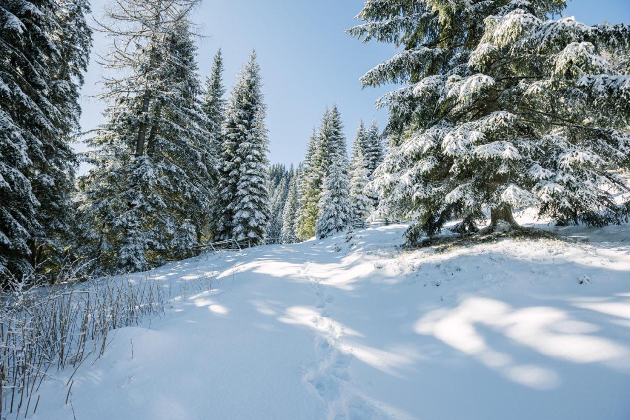 Cosy Lodge Pokljuka Goreljek Zewnętrze zdjęcie