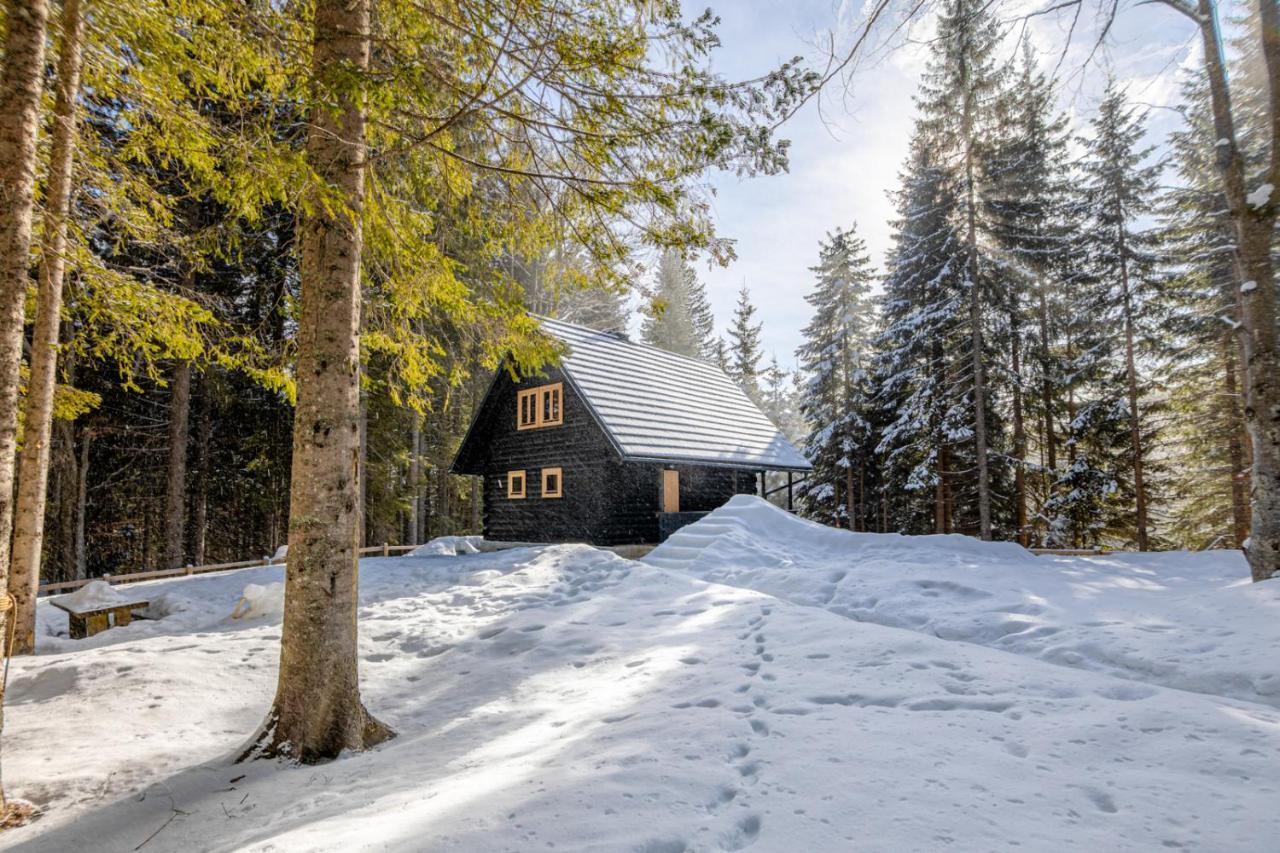 Cosy Lodge Pokljuka Goreljek Zewnętrze zdjęcie