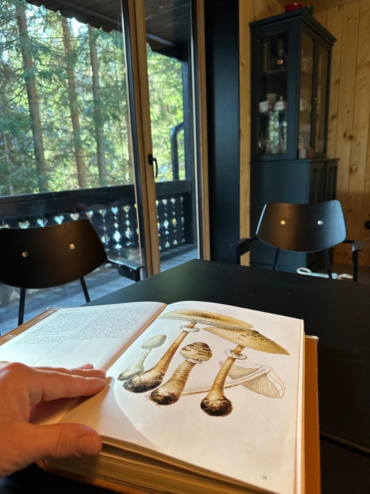 Cosy Lodge Pokljuka Goreljek Zewnętrze zdjęcie