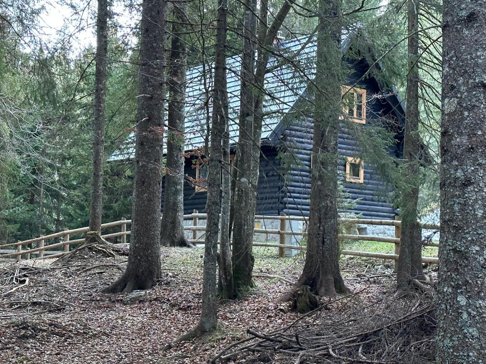 Cosy Lodge Pokljuka Goreljek Zewnętrze zdjęcie