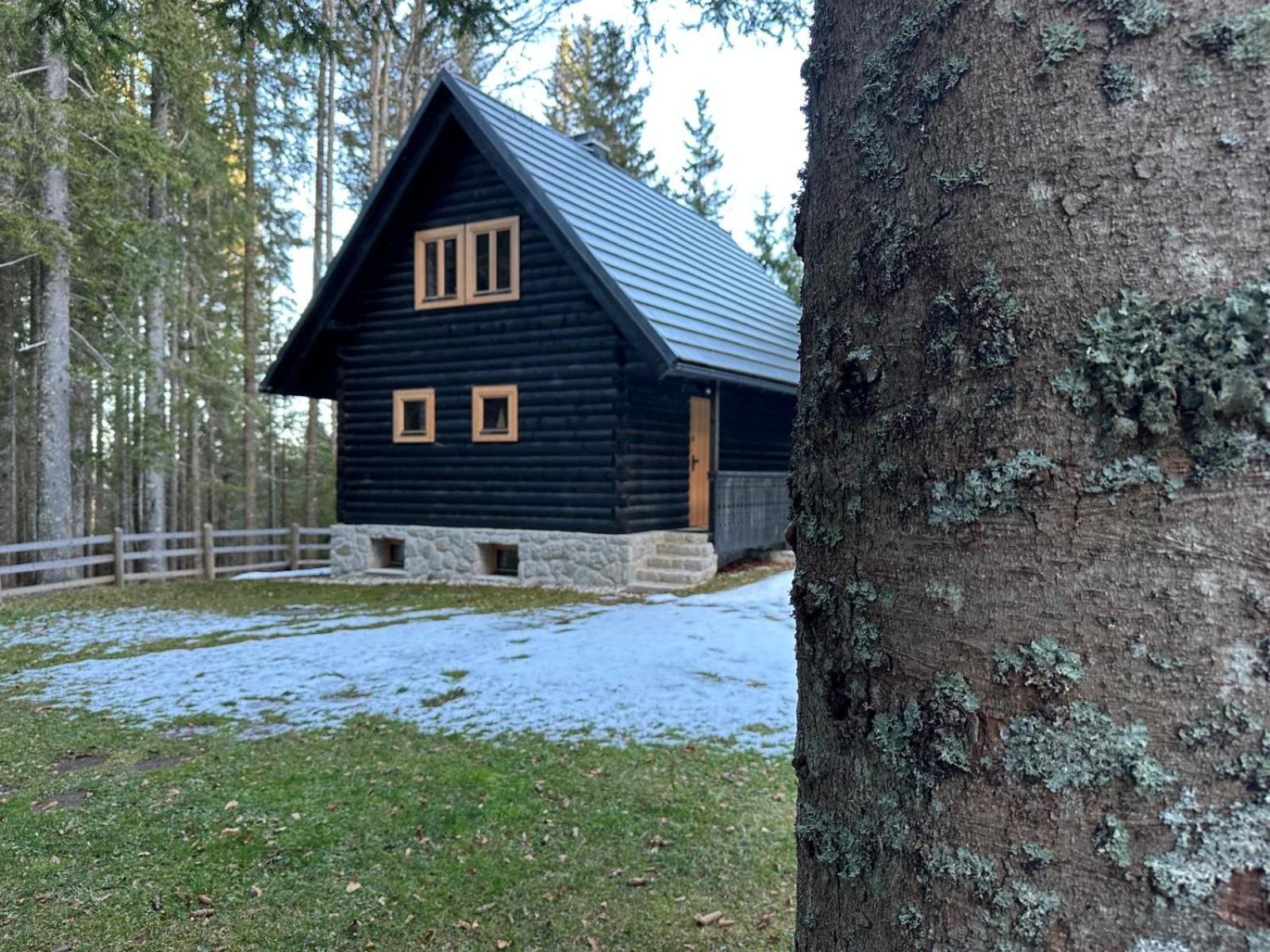 Cosy Lodge Pokljuka Goreljek Zewnętrze zdjęcie