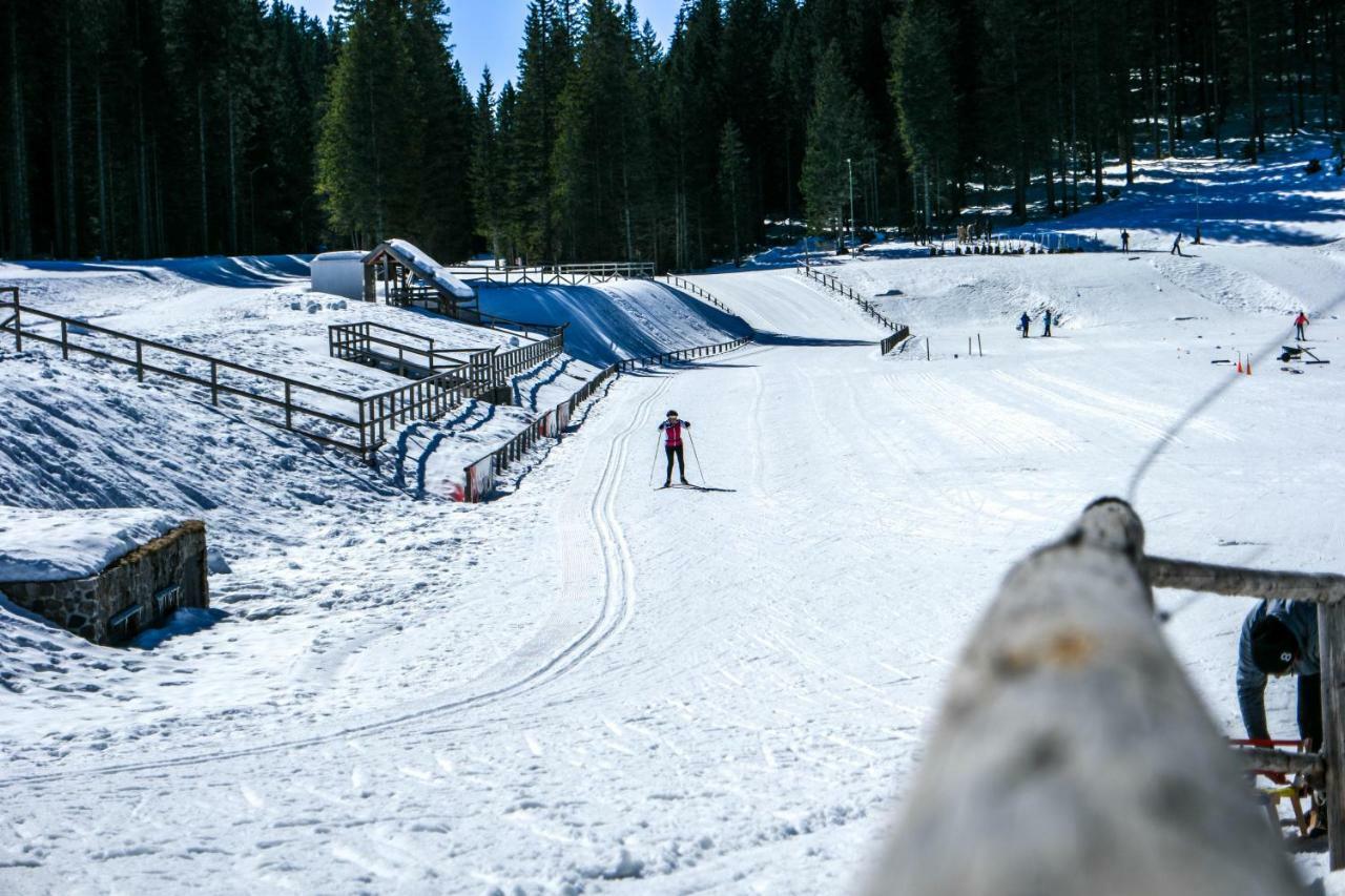 Cosy Lodge Pokljuka Goreljek Zewnętrze zdjęcie