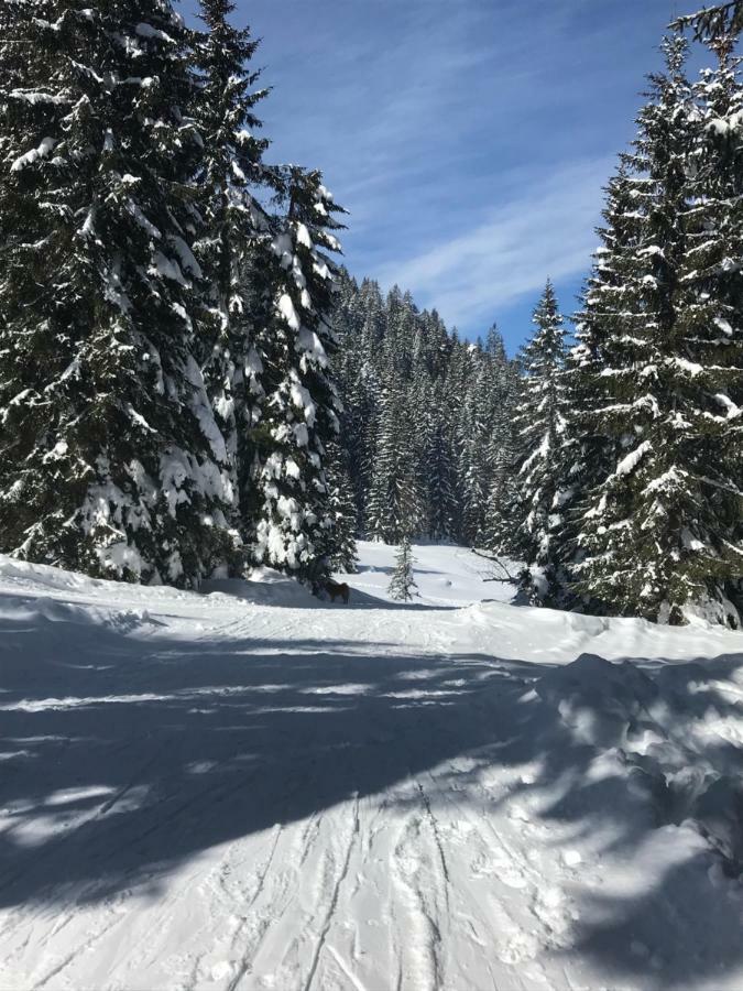 Cosy Lodge Pokljuka Goreljek Zewnętrze zdjęcie